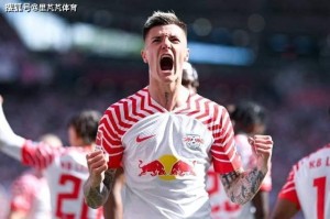 7500万购买22岁大中锋！他会是阿森纳争夺冠军路上的“最后拼图”